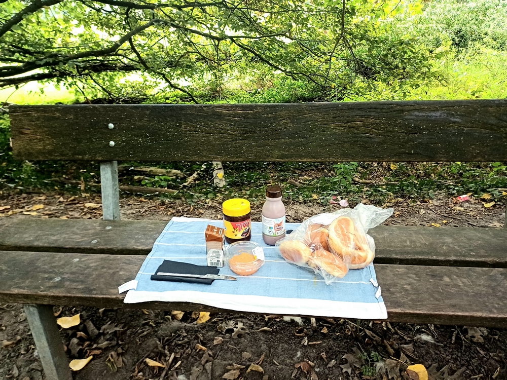 Picknicken in het Geerbos - Melle / Kwatrecht