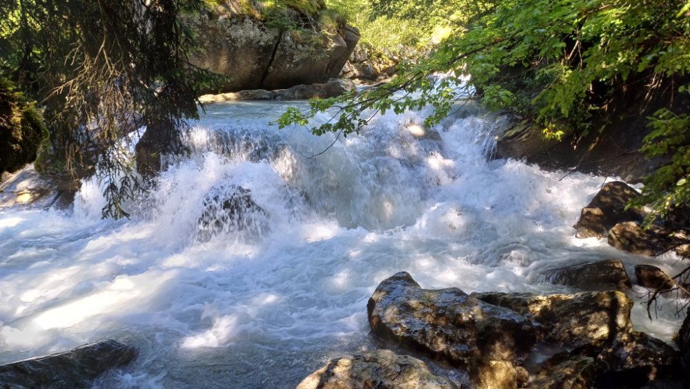 Ontdek de Trutg dil Flem Schilderachtige Wandelroute in Flims, Zwitserland