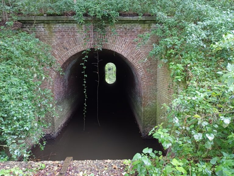 De Spiegels van het Leven Reflectie en Groeikansen in Ons Bestaan