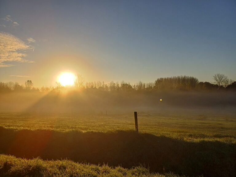 De Zonsopkomst boven de Velden Een Magisch Begin van de Dag