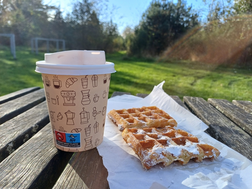 De charme van een herfstwandeling in het Parkbos