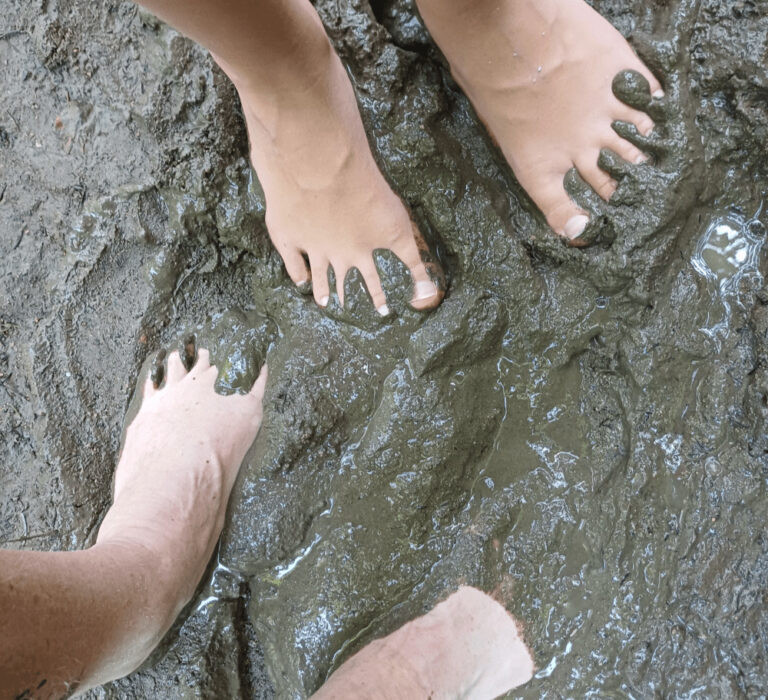 Op blote voeten door het Zwarte Woud