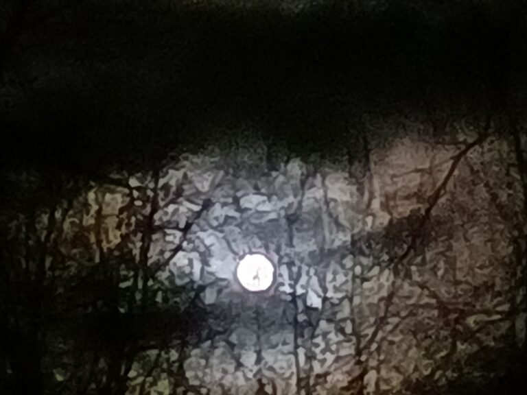 Wandelen onder de volle maan